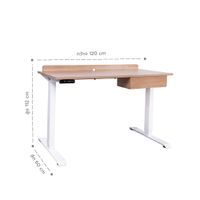 Electric adjustable Desk 120 cm.-7